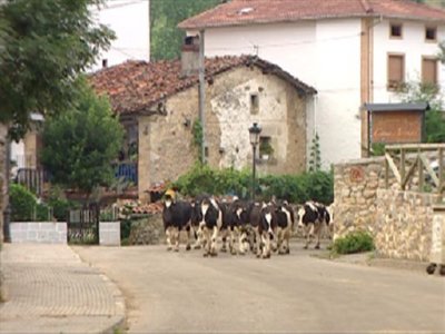 ganado (4)  MAQUINAS